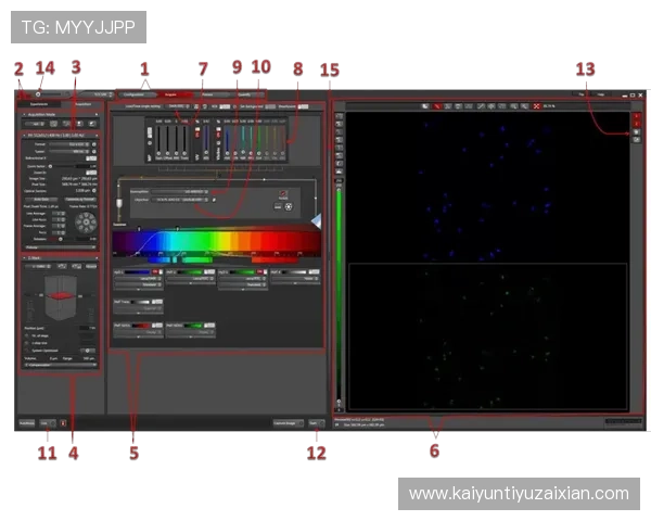 开云在线登录界面操作步骤详尽介绍让新手也能快速上手