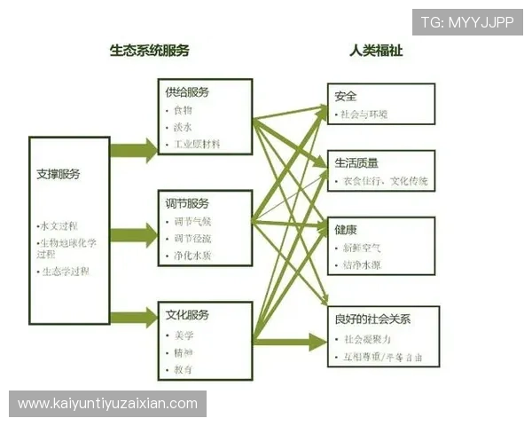 开云旗舰平台的技术架构与创新点:打造高效稳定的游戏服务生态系统 开云旗舰平台的技术架构与创新点:打造高效稳定的游戏服务生态系统